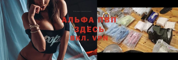 ешки Медвежьегорск