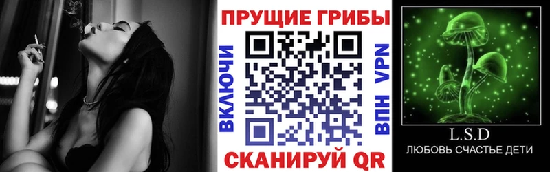 гидра сайт  цены наркотик  Курган  Галлюциногенные грибы MAGIC MUSHROOMS 